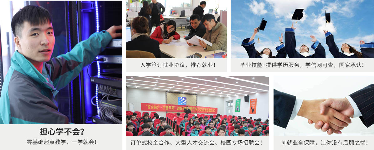 ������ѯ