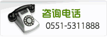 ��Ѷ�绰��0551-5311888