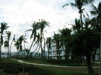 海南大学三亚学院