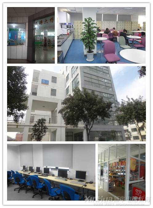 新华学子在上海电讯盈科公司的工作生活概况