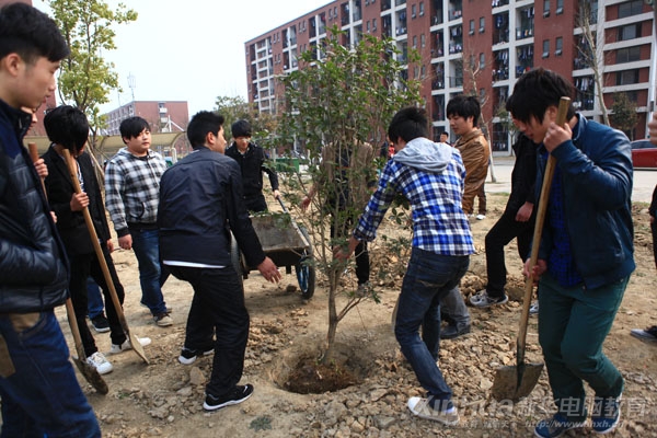植树节活动现场