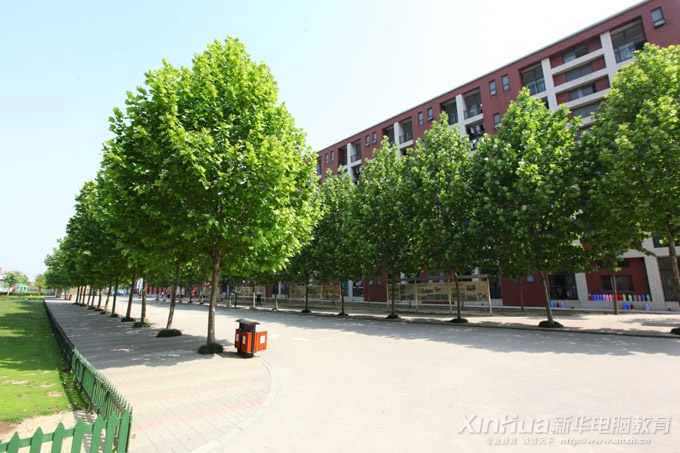 安徽新华电脑专修学院