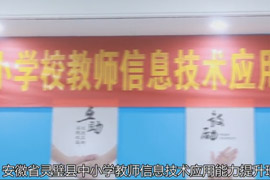 ʡСѧУʦϢӦѵʦר